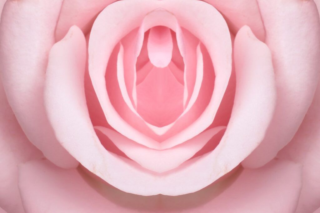 Diferença entre clitóris e ponto G